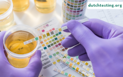What is the DUTCH Test? A Beginner’s Guide