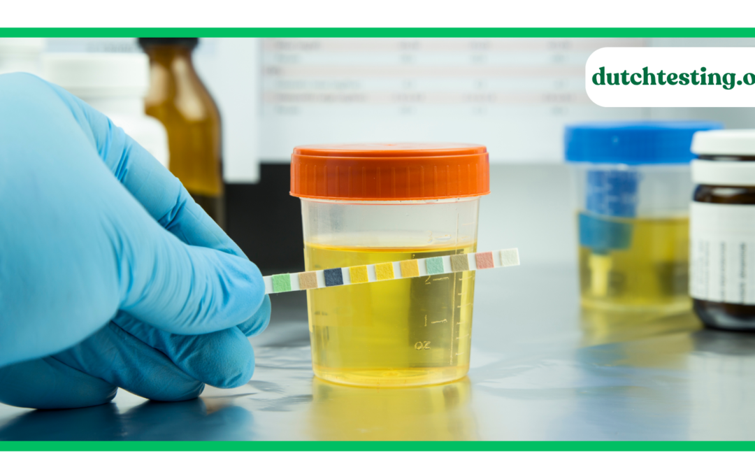 Does Insurance Cover the DUTCH Test?