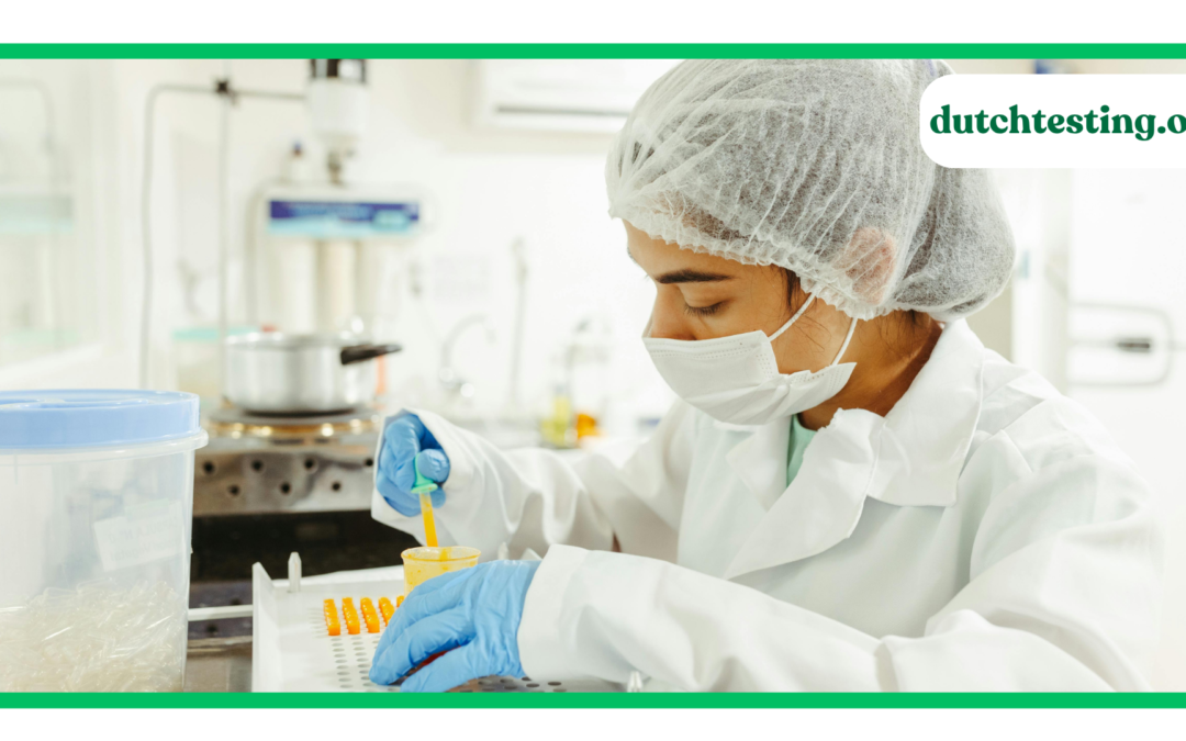 How to Find Legit DUTCH Test Provider Online