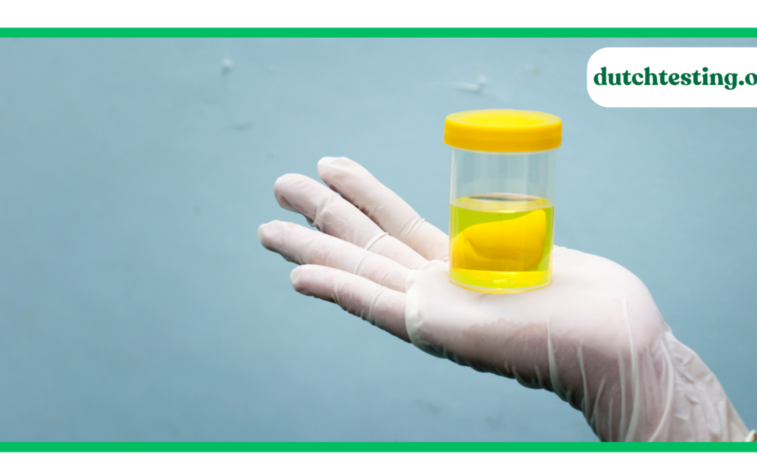 Is The DUTCH Test Worth It and Accurate?